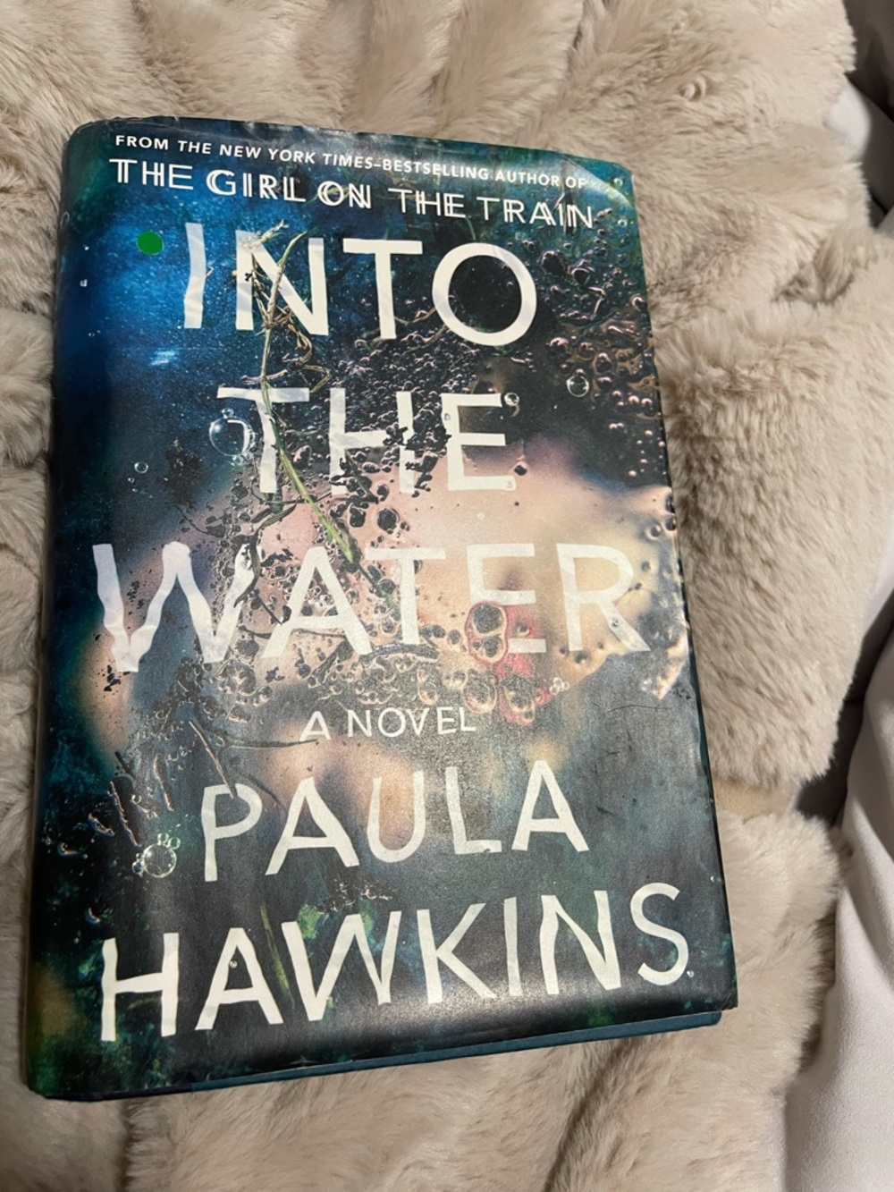 Into the Water by Paula Hawkins - 2 for $15